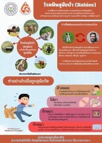 เทศบาลตำบลบึงสำโรง